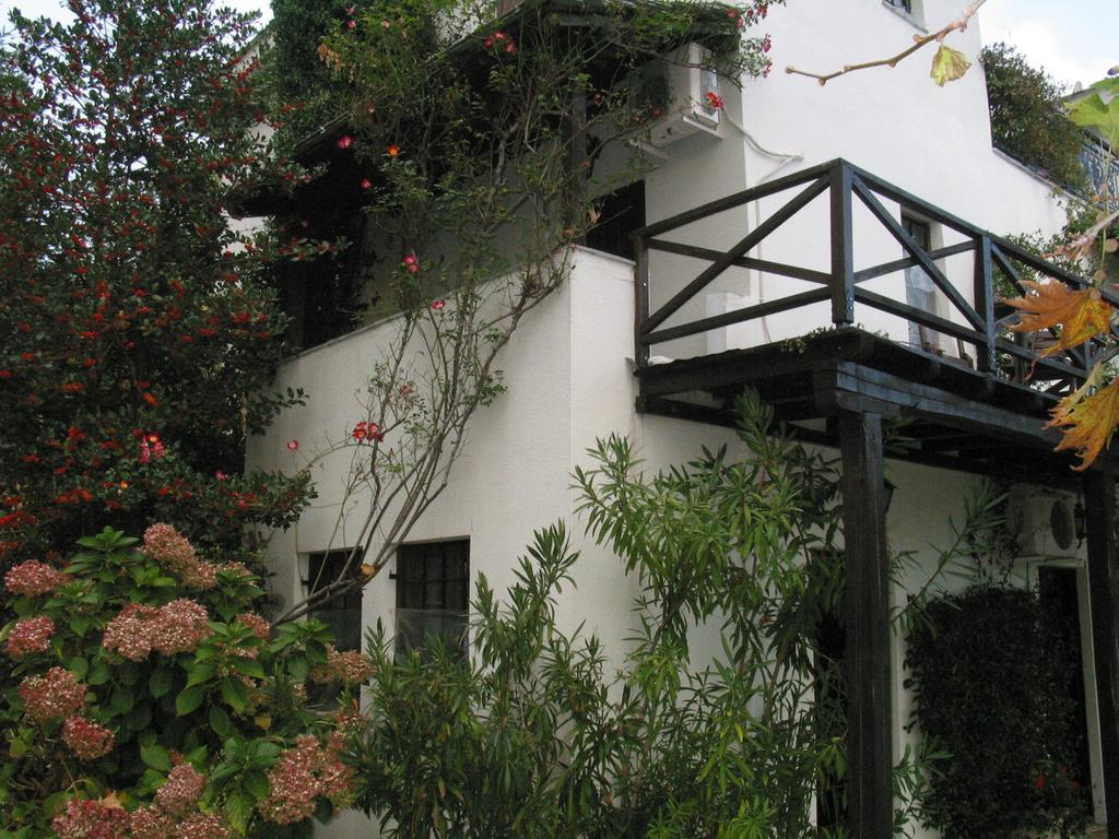 Villa Georgie Tsagarada Exteriér fotografie